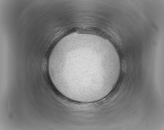 X0000115630036200912011450