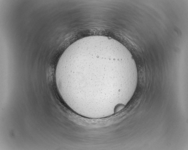 X0000115630038200912011450