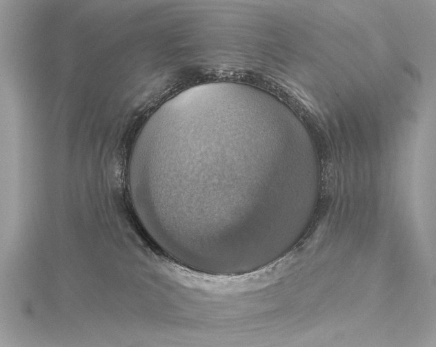 X0000115630039200912011450