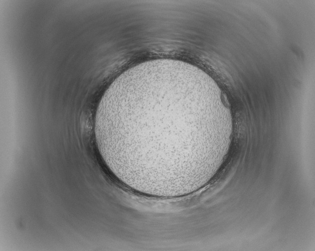 X0000115630040200912011450