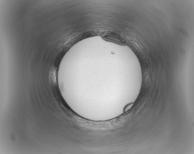 X0000115630042200912011450