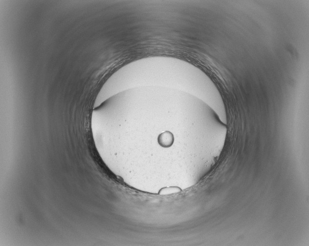 X0000115630043200912011449