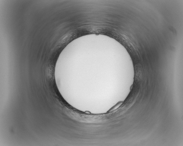 X0000115630044200912011449