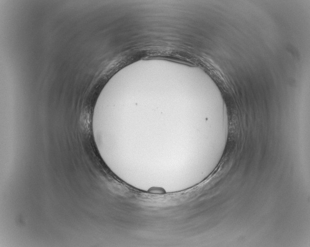 X0000115630045200912011449