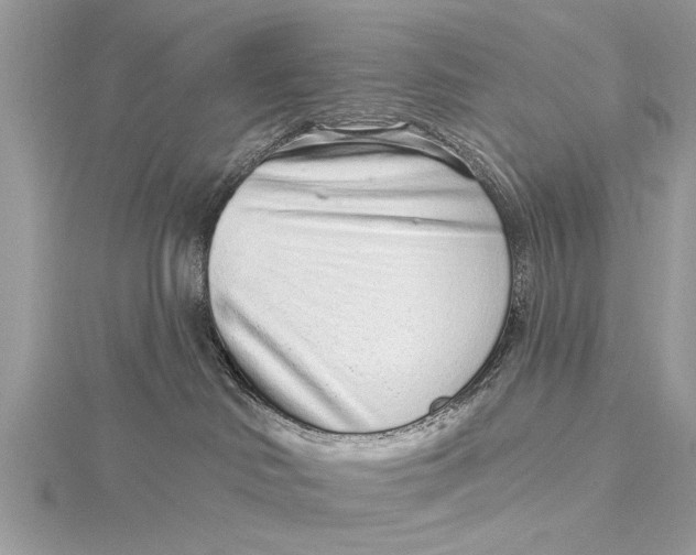 X0000115630046200912011449