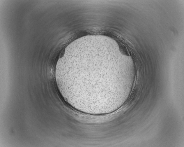 X0000115630048200912011449