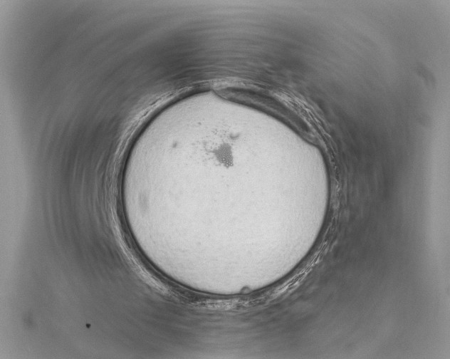 X0000115630049200912011449