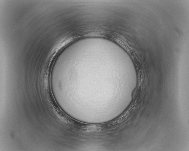 X0000115630050200912011449