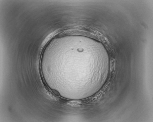 X0000115630051200912011449