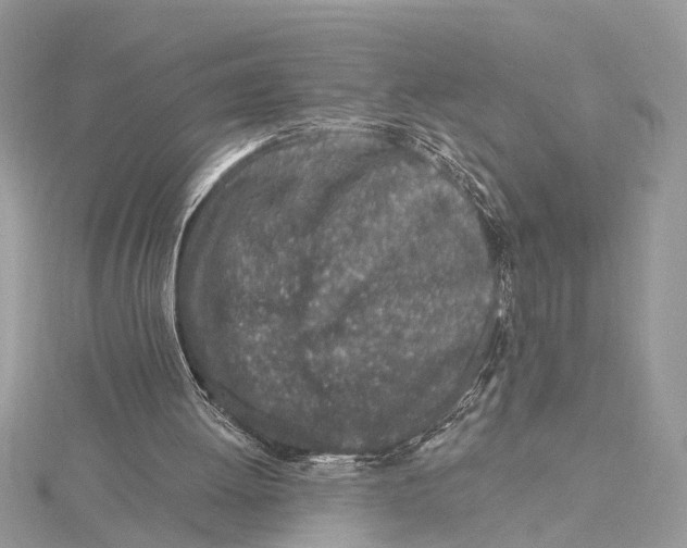 X0000115630052200912011449