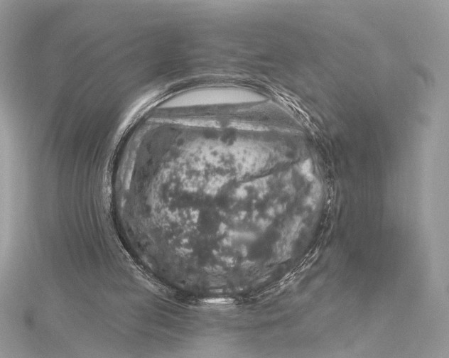 X0000115630053200912011449