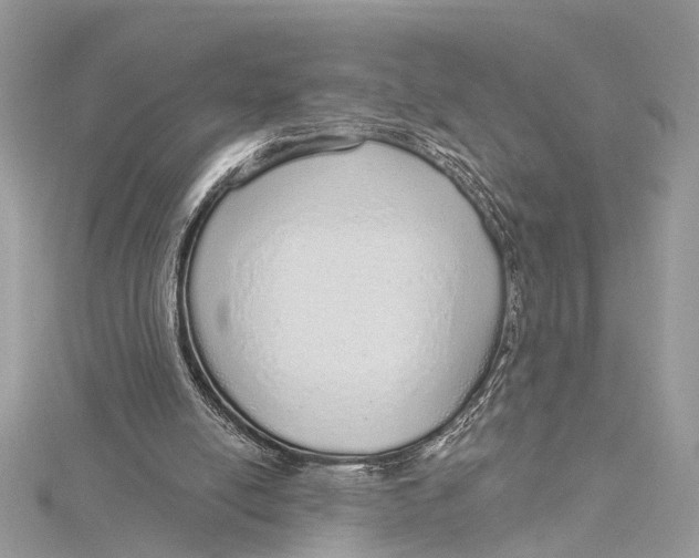 X0000115630054200912011449