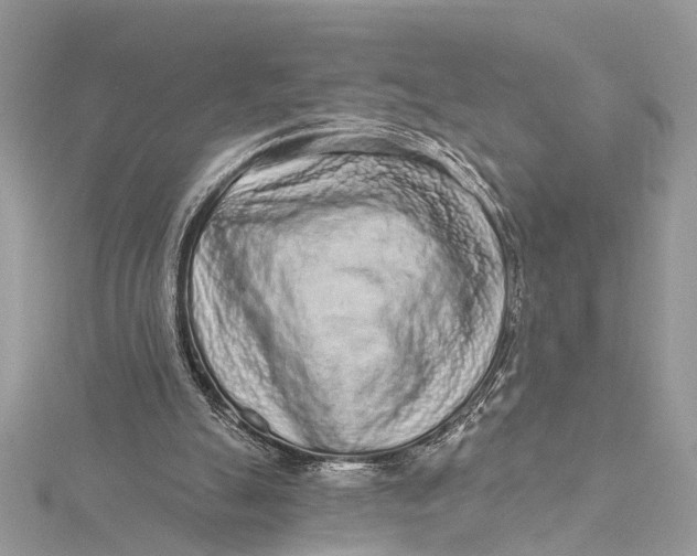 X0000115630055200912011449