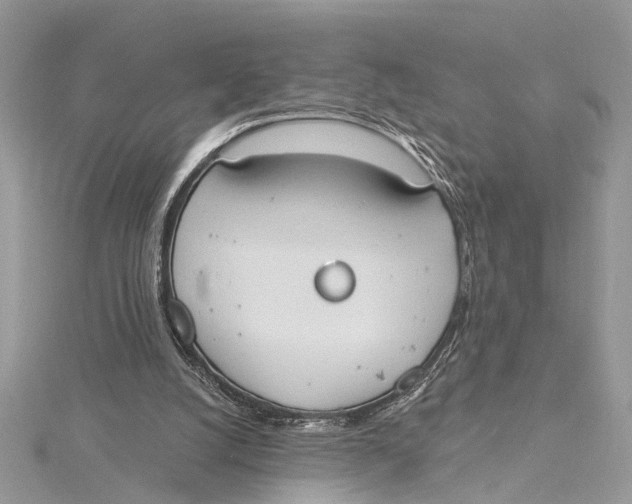 X0000115630056200912011449