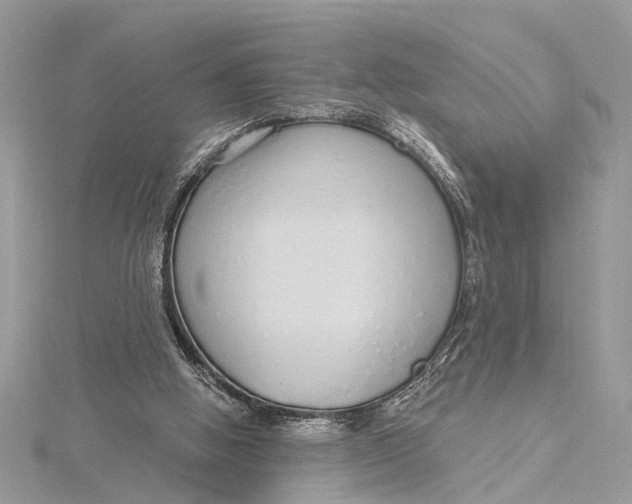 X0000115630058200912011449