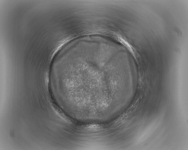 X0000115630059200912011449