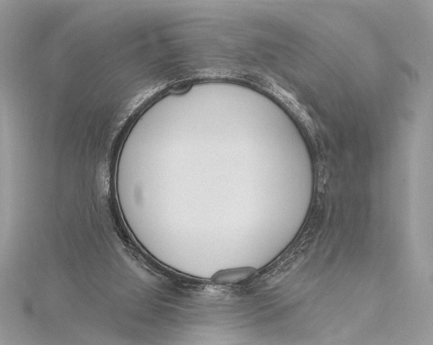 X0000115630060200912011449