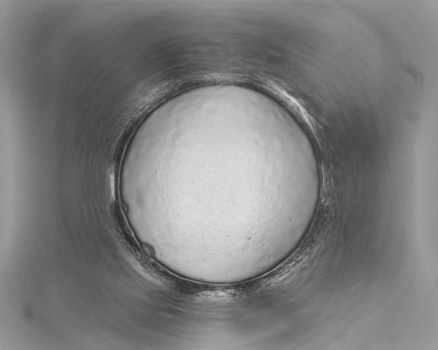 X0000115630061200912011449