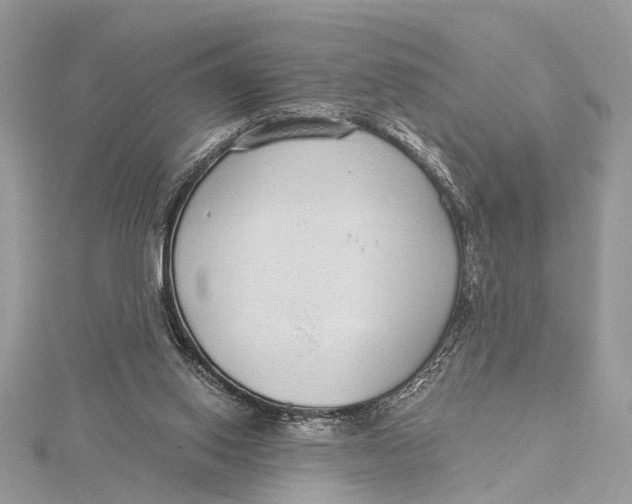 X0000115630062200912011449