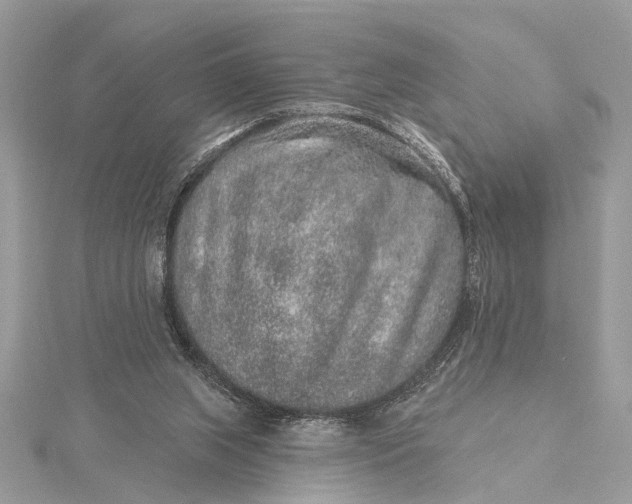 X0000115630063200912011449