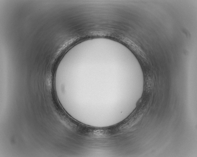 X0000115630064200912011449