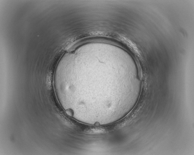 X0000115630065200912011449