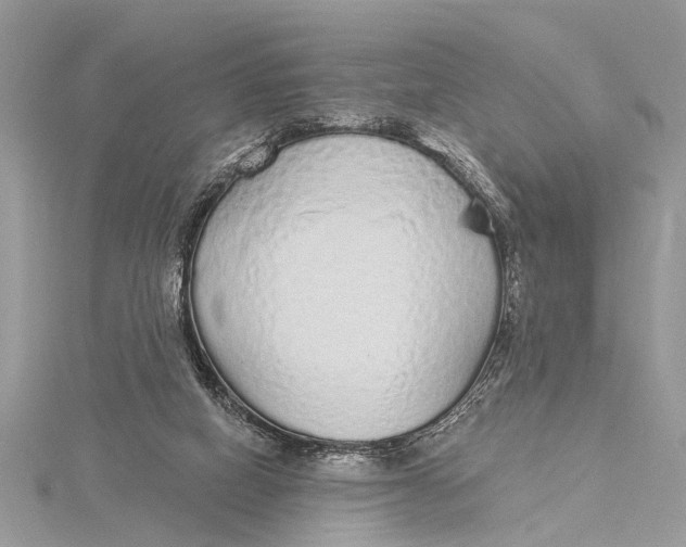 X0000115630066200912011449