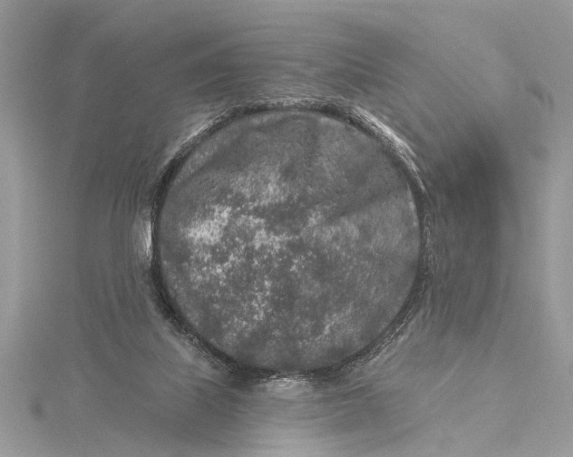 X0000115630067200912011449