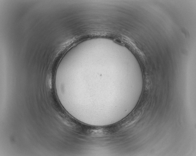 X0000115630068200912011449