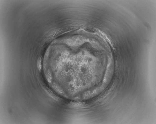 X0000115630069200912011449