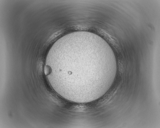 X0000115630071200912011449