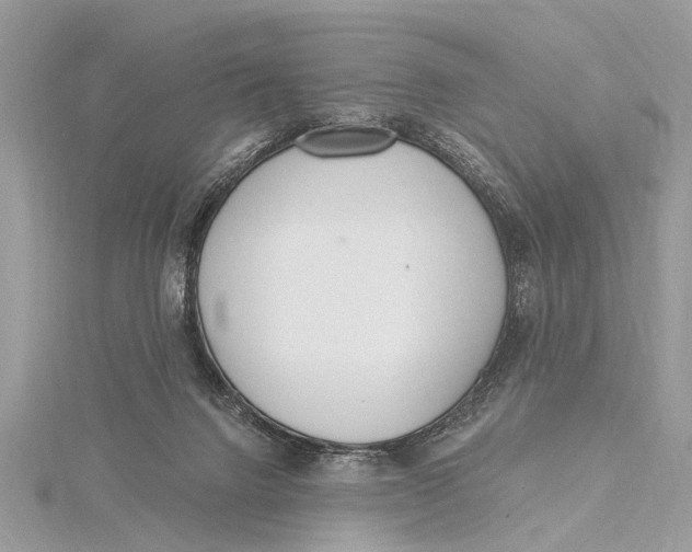 X0000115630072200912011449