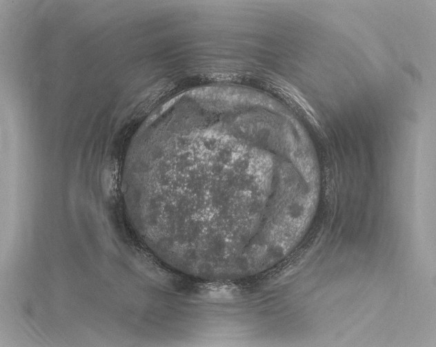 X0000115630073200912011449