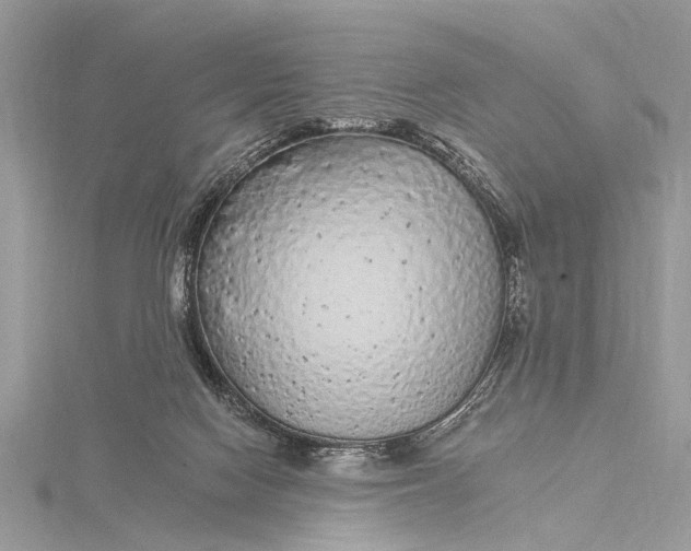 X0000115630074200912011449