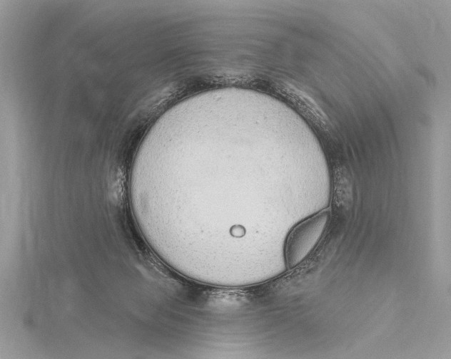 X0000115630077200912011449