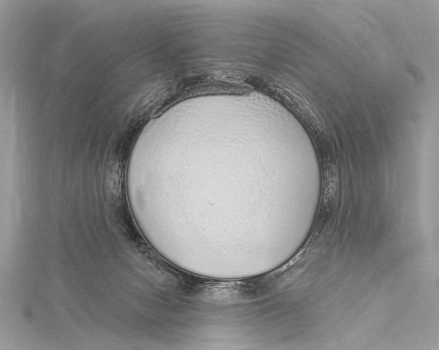 X0000115630078200912011449