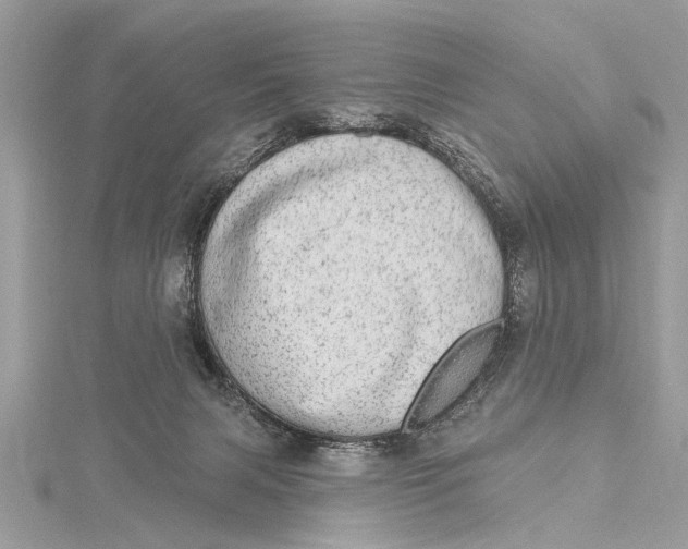 X0000115630079200912011449