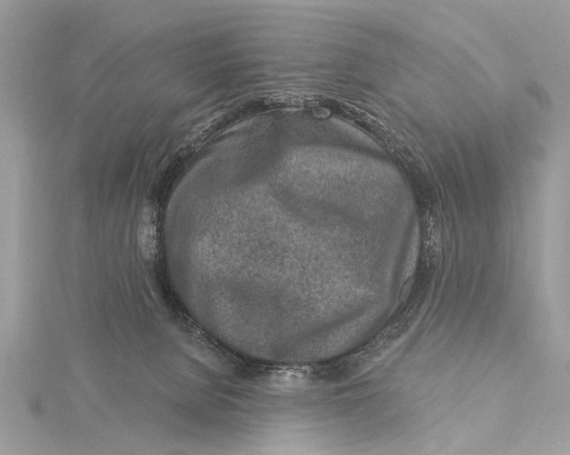 X0000115630080200912011449