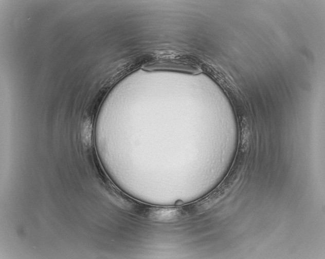 X0000115630081200912011449