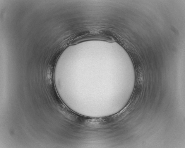 X0000115630082200912011449