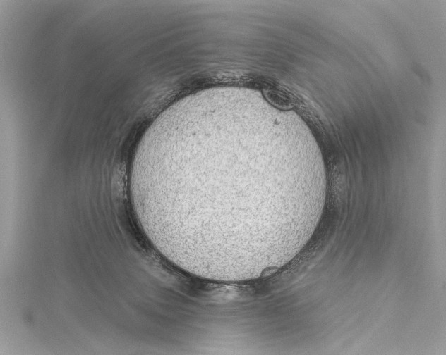 X0000115630083200912011449