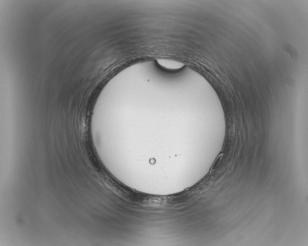 X0000115630084200912011449