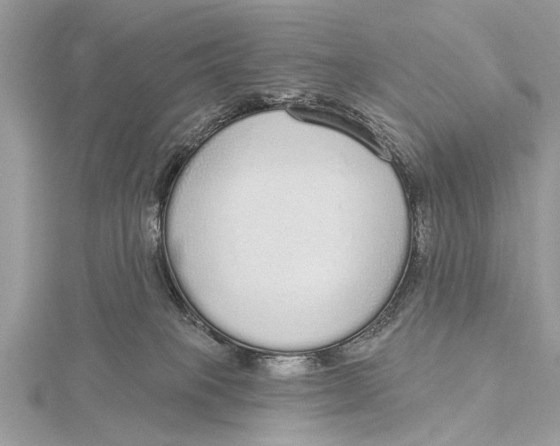 X0000115630085200912011449