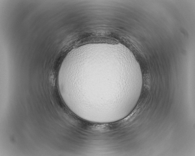 X0000115630086200912011449