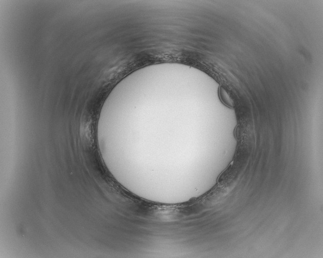 X0000115630088200912011449