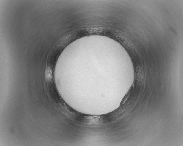 X0000115630089200912011449