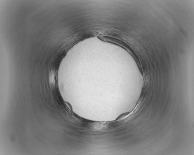 X0000115630094200912011449