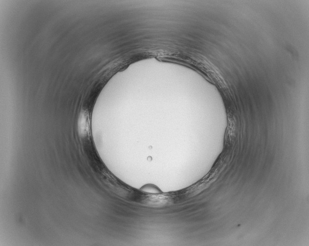 X0000115630095200912011449