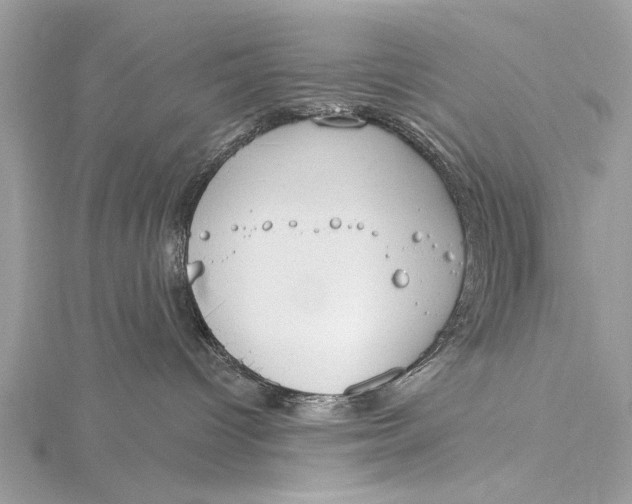 X0000115630096200912011449