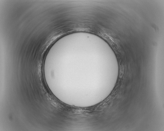 X0000115630098200912011449